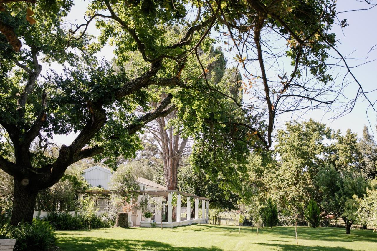 Montpellier De Tulbagh Otel Dış mekan fotoğraf